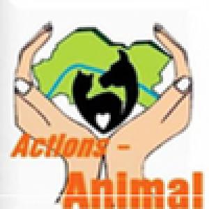 Actions-Animal-pI2bv