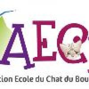 Association-Ecole-du-Chat-du-Boulonnais-xv5ry