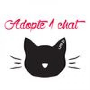 Adopte-1-chat---L211-27-CimVb