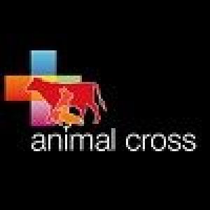 Animal-Cross-FTOHc