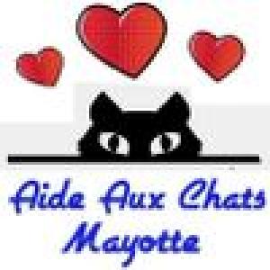 Association-Aide-Aux-Chats-Mayotte-b1cYZ