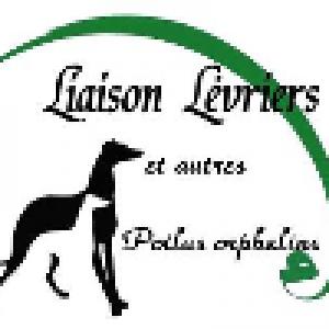 Liaison-Levriers-et-Autres-Poilus-Orphelins-j14Ag