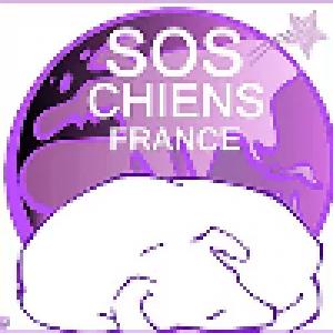 SOS-CHIENS-FRANCE-CcFEm