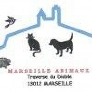 marseille-animaux-97eS3