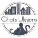 Chats-ulissiens-5OwIb
