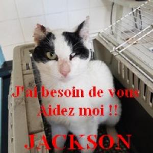 JACKSON