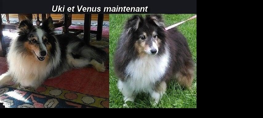 Uki et Venus maintenant2